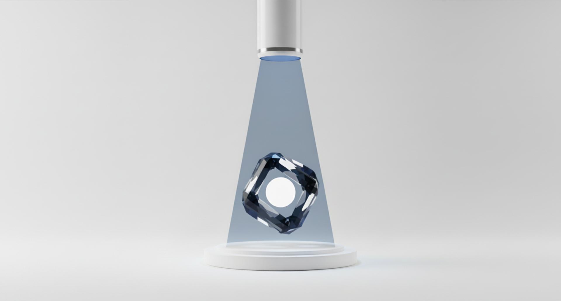 Amplificación profesional